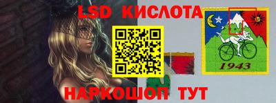гидра Новозыбков