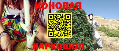 гидра Новозыбков