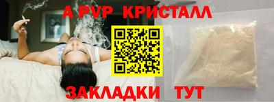 гидра Новозыбков