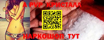 спиды Новокубанск