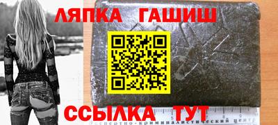гидра Новозыбков