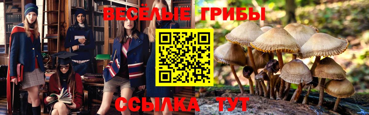 Галлюциногенные грибы MAGIC MUSHROOMS Татарск