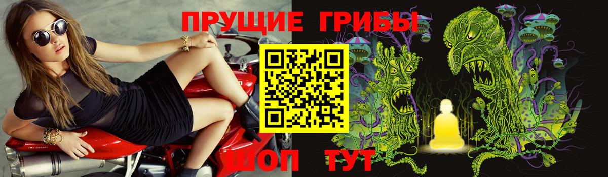 Татарск  Галлюциногенные грибы MAGIC MUSHROOMS  Вход с VPN  Псилоцибиновые грибы ЛСД 